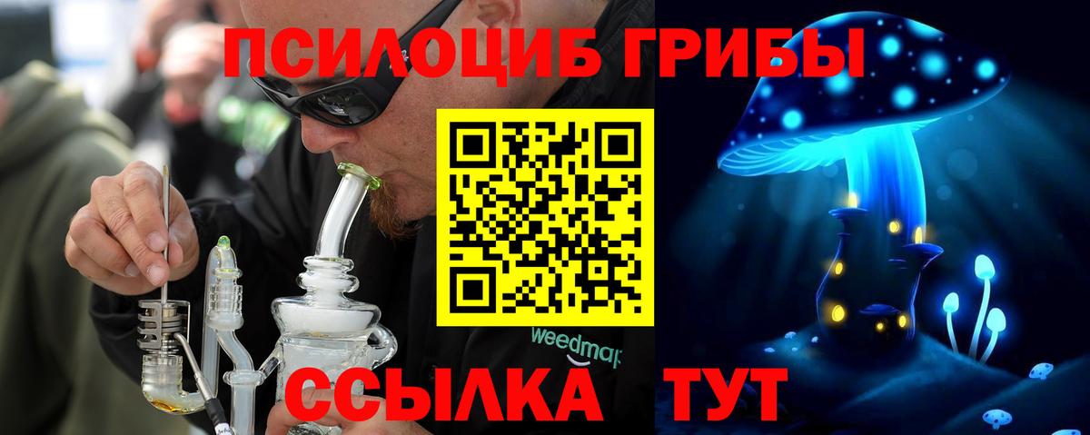 Галлюциногенные грибы мухоморы  магазин продажи наркотиков  Ефремов  Вход с VPN 
